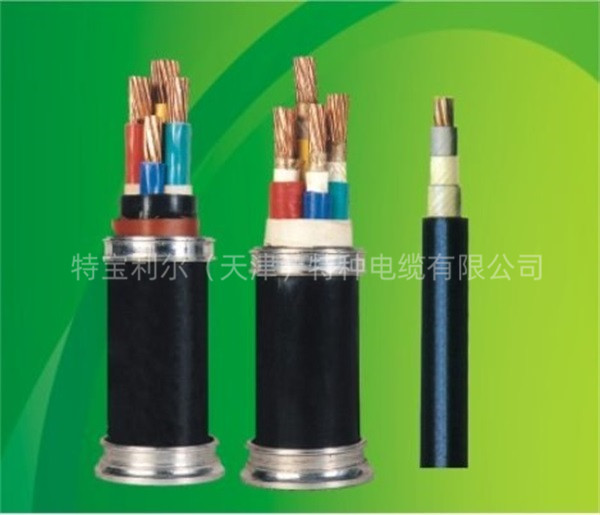 天津船用电缆日常维护