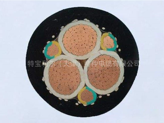 变频卷筒电缆 