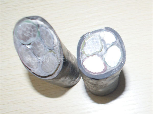 电力电缆