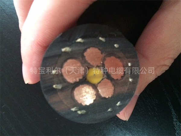斗轮机二合一高压电缆