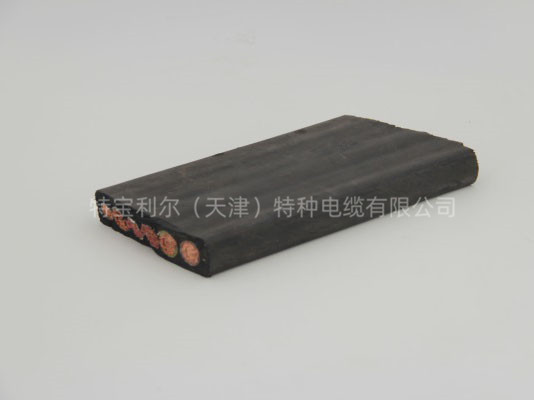 特种扁电缆