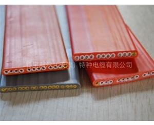 硅橡胶绝缘耐高温、防腐、耐油扁平电缆