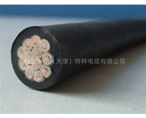 护套编织加强电缆 