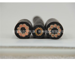 卷筒用组合电缆 