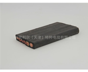 特种扁电缆