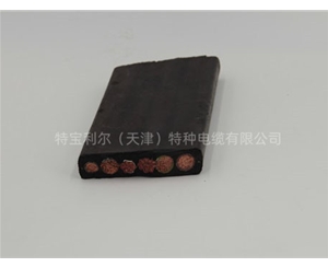 特种扁电缆