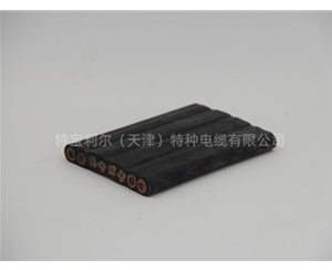 组合扁缆 